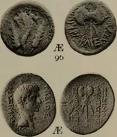 Picture 214 of 528 from Numismata graeca; Greek coin-types, classified for immediate identification (1910), leaf 360