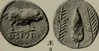 Picture 320 of 528 from Numismata graeca; Greek coin-types, classified for immediate identification (1910), leaf 580