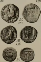 An illustration from Numismata graeca; Greek coin-types, classified for immediate identification (1910)