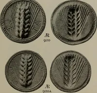 Picture 445 of 528 from Numismata graeca; Greek coin-types, classified for immediate identification (1910), leaf 616