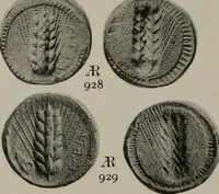 Picture 446 of 528 from Numismata graeca; Greek coin-types, classified for immediate identification (1910), leaf 616