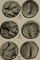 Picture 466 of 528 from Numismata graeca; Greek coin-types, classified for immediate identification (1910), leaf 620