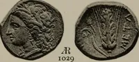 An illustration from Numismata graeca; Greek coin-types, classified for immediate identification (1910)