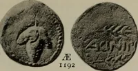 Picture 489 of 528 from Numismata graeca; Greek coin-types, classified for immediate identification (1910), leaf 624