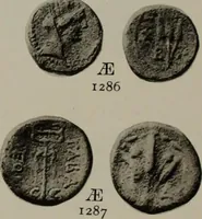 Picture 494 of 528 from Numismata graeca; Greek coin-types, classified for immediate identification (1910), leaf 624
