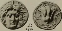Picture 509 of 528 from Numismata graeca; Greek coin-types, classified for immediate identification (1910), leaf 630