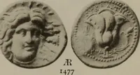 Picture 510 of 528 from Numismata graeca; Greek coin-types, classified for immediate identification (1910), leaf 630