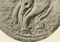 An illustration from Numismata graeca; Greek coin-types, classified for immediate identification (1910)