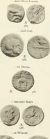 Picture 68 of 449 from Numismata graeca; Greek coin-types, classified for immediate identification (1910), leaf 146
