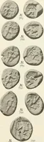 An illustration from Numismata graeca; Greek coin-types, classified for immediate identification (1910)
