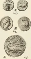 Picture 262 of 449 from Numismata graeca; Greek coin-types, classified for immediate identification (1910), leaf 364