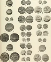 An illustration from Numismata graeca; Greek coin-types, classified for immediate identification (1910)