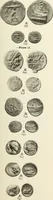 An illustration from Numismata graeca; Greek coin-types, classified for immediate identification (1910)
