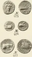 Picture 293 of 449 from Numismata graeca; Greek coin-types, classified for immediate identification (1910), leaf 376