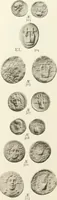 Picture 345 of 449 from Numismata graeca; Greek coin-types, classified for immediate identification (1910), leaf 550