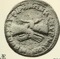 An illustration from Numismata graeca; Greek coin-types, classified for immediate identification (1910)