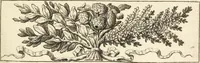 An illustration from Numismata imperatorum romanorum praestantiora a Julio Caesare ad Postumum usque per Joannem Vaillant (1743)