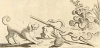 An illustration from Numismata imperatorum romanorum praestantiora a Julio Caesare ad Postumum usque per Joannem Vaillant (1743)