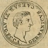 An illustration from Numismata ærea imperatorum, augustarum, et cæsarum, in coloniis, municilpiis, et urbibus jure latio donatis, ex omni modulo percussa (1695)