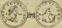 An illustration from Numismata ærea imperatorum, augustarum, et cæsarum, in coloniis, municilpiis, et urbibus jure latio donatis, ex omni modulo percussa (1695)