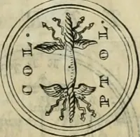 An illustration from Numismata ærea imperatorum, augustarum, et cæsarum, in coloniis, municilpiis, et urbibus jure latio donatis, ex omni modulo percussa (1695)