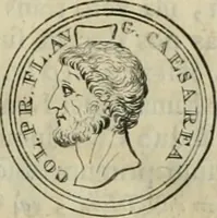 An illustration from Numismata ærea imperatorum, augustarum, et cæsarum, in coloniis, municilpiis, et urbibus jure latio donatis, ex omni modulo percussa (1695)