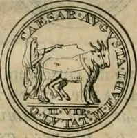 An illustration from Numismata ærea imperatorum, augustarum, et cæsarum, in coloniis, municilpiis, et urbibus jure latio donatis, ex omni modulo percussa (1695)