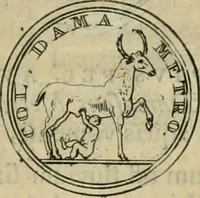 An illustration from Numismata ærea imperatorum, augustarum, et cæsarum, in coloniis, municilpiis, et urbibus jure latio donatis, ex omni modulo percussa (1695)