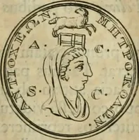 An illustration from Numismata ærea imperatorum, augustarum, et cæsarum, in coloniis, municilpiis, et urbibus jure latio donatis, ex omni modulo percussa (1695)