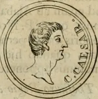 An illustration from Numismata ærea imperatorum, augustarum, et cæsarum, in coloniis, municilpiis, et urbibus jure latio donatis, ex omni modulo percussa (1695)