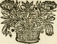 An illustration from Numismata summorum pontificum Templi Vaticani fabricam indicantia, chronologica ejusdem fabricae narratione ac multiplici eruditione explicata. Atque uberiori numismatum omnium pontificiorum lucubrationi veluti prodromus praemissa (1700)