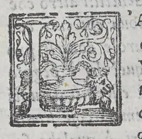 An illustration from Nuoui auisi dell'Indie di Portogallo, riceuuti dalli reuerendi padri della Compagnia di Giesu, (1568)