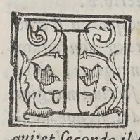 An illustration from Nuoui auisi dell'Indie di Portogallo, riceuuti dalli reuerendi padri della Compagnia di Giesu, (1568)