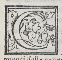 An illustration from Nuoui auisi dell'Indie di Portogallo, riceuuti dalli reuerendi padri della Compagnia di Giesu, (1562)