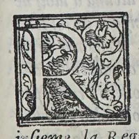 An illustration from Nuoui auisi dell'Indie di Portogallo, riceuuti dalli reuerendi padri della Compagnia di Giesu, (1562)