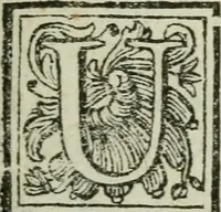 An illustration from Nuova descrizione del Vaticano, o sia, della sacrosanta basilica di S. Pietro (1762)
