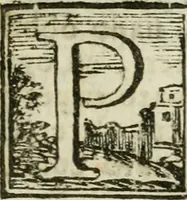 An illustration from Nuova economia per le fabriche : con li prezzi e quantità di tutti li materiali necessarj per construire qualsivoglia fabrica sì in città, che in villa : opera necessaria, ed utile per chiunque si sia, che voglia fare fabricare, ed altresì per li muratori, fondeghieri, segantini, ferrari, o siano magnani, agenti di campagna ec. : con avvertimenti necessarj di ciò si può fare e che viene proibito dallo statuto di Bologna per isfuggire le liti, e non avere pregiudizj : con moltissimi altri avvertimenti e documenti per fare bene operare, non mai venuti al pubblico : ed in fine varj rimedj per li muratori, che s'ammalassero in campagna (1765)