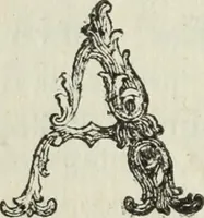 Picture 12 of 40 from Nuova raccolta d'autori, che trattano del moto dell'acque (1766), leaf 301