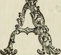 Picture 31 of 40 from Nuova raccolta d'autori, che trattano del moto dell'acque (1766), leaf 417