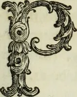 An illustration from Nuova raccolta d'autori, che trattano del moto dell'acque (1766)