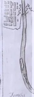 Picture 17 of 21 from Nuova raccolta d'autori, che trattano del moto dell'acque (1766), leaf 461