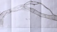 An illustration from Nuova raccolta d'autori, che trattano del moto dell'acque (1766)