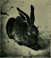 An illustration from Nuremberg and its art to the end of the 18th century. (1905)