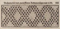 Picture 9 of 9 from Nüw Modelbuoch : allerley Gattungen Däntelschnür, so diser Zyt in hoch Tütschlanden geng und brüchig sind / zuo Underricht jren Leertöchteren unnd allen anderen Schnürwürckeren zuo Zürych und wo die sind yetz nüwlich zuobereit und erstmals in Truck verfergket durch R. M. (1561), leaf 46