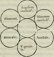 An illustration from ... Nvmerorvm mysteria. Opvs ... in quo mirus in primis, idemq; perpetuus arithmeticae Pythagoricae cum diuinae paginae numeris consensus, ex abditis plurimarum disciplinarum fontibus hausta, multiplici ratione probatur (1591)