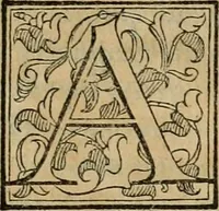 An illustration from ... Nvmerorvm mysteria. Opvs ... in quo mirus in primis, idemq; perpetuus arithmeticae Pythagoricae cum diuinae paginae numeris consensus, ex abditis plurimarum disciplinarum fontibus hausta, multiplici ratione probatur (1591)