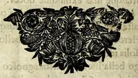 An illustration from Nvmmorvm vetervm in illvstranda imperatorum romanorum historia vsvs publico programmate historiarvm et antiqvitatis cultoribvs (1684)