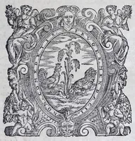 An illustration from Nvova inventione di fabricar fortezze, : di varie forme, in qvalvnqve sito di piano, di monte, in acqua, con diuersi disegni, et vn trattato del modo, che si hà da osseruare in esse, con le sve misvre, et ordine di levar le piante, tanto in fortezze reali, quanto non reali. (1598)