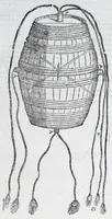 An illustration from Nvova inventione di fabricar fortezze, : di varie forme, in qvalvnqve sito di piano, di monte, in acqua, con diuersi disegni, et vn trattato del modo, che si hà da osseruare in esse, con le sve misvre, et ordine di levar le piante, tanto in fortezze reali, quanto non reali. (1598)