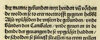 An illustration from Nye vnbekande Lande Unde eine nye Werldt in korter vorgangener Tyd gefunden (1508)